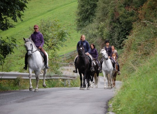 reiten single urlaub